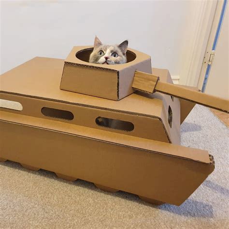Cardboard Cat Tank Template